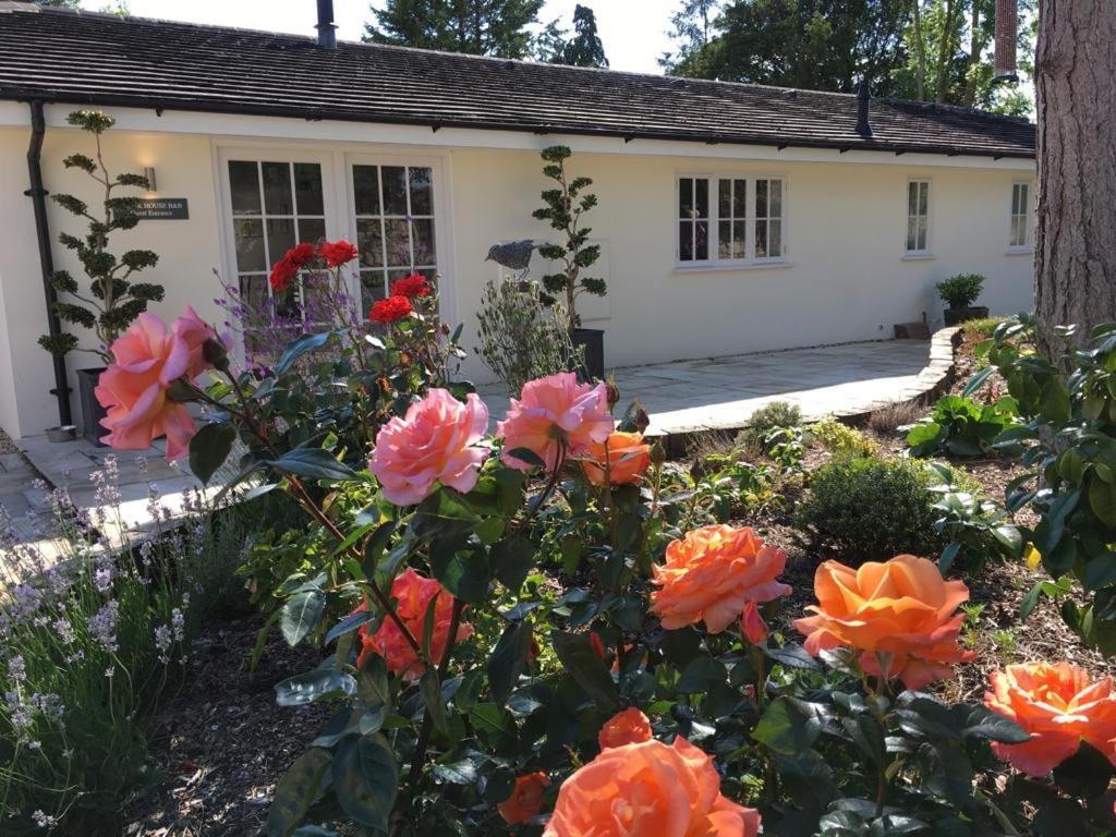 Clock House B&B Marnhull Exterior foto